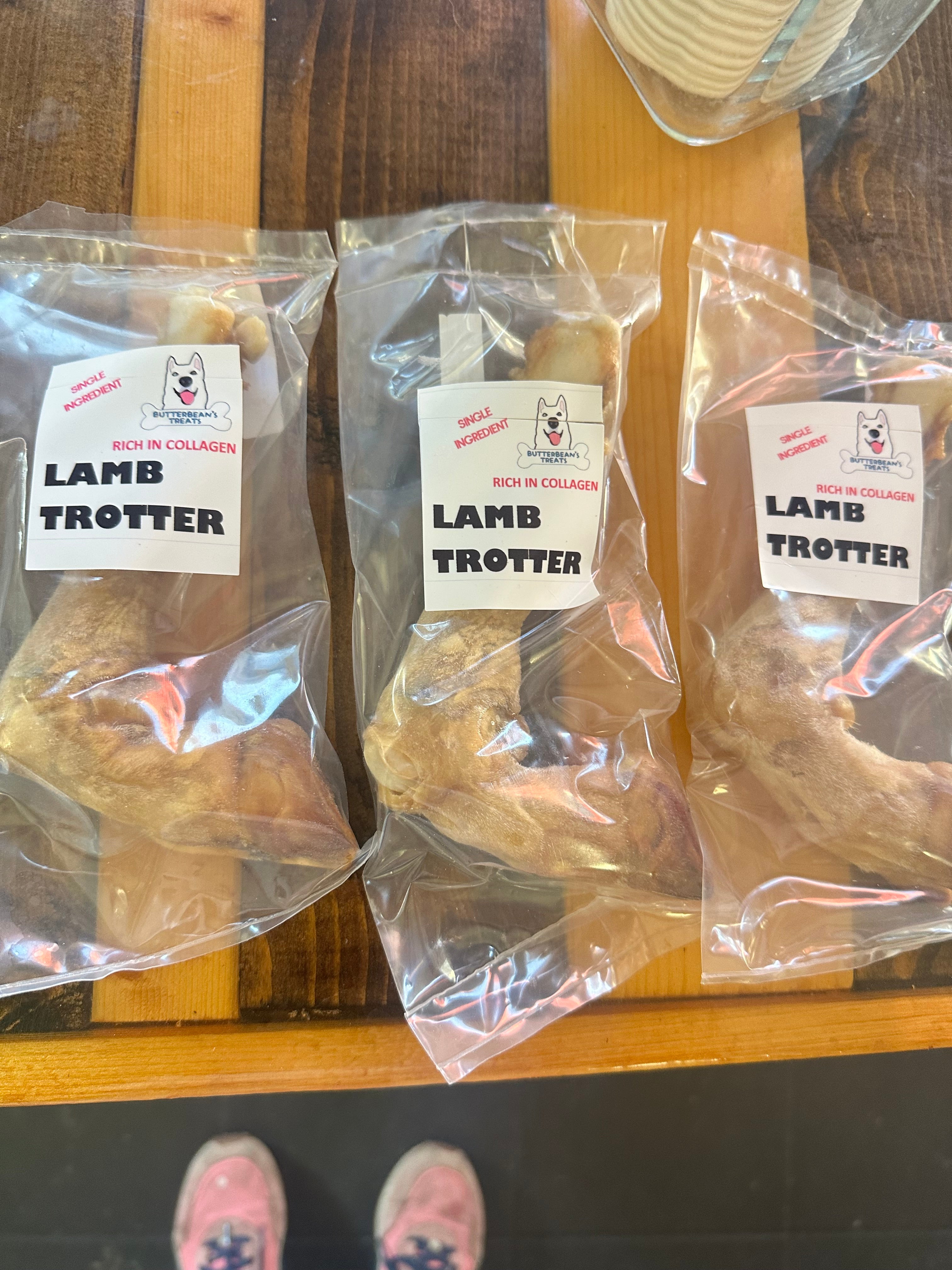 Lamb Trotter